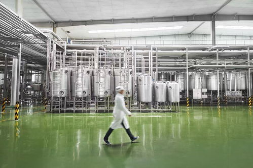 走進新乳業智能工廠 低溫業務雙位數引領增長，生物芯與數智化雙輪驅動企業管理創新